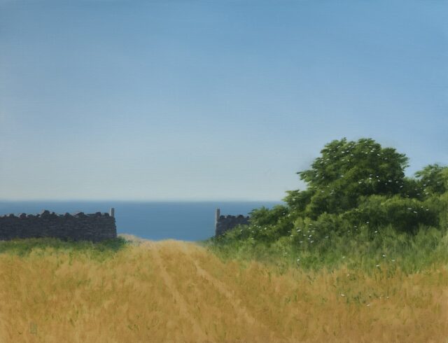 Towards Dancing Ledge (Dorset)